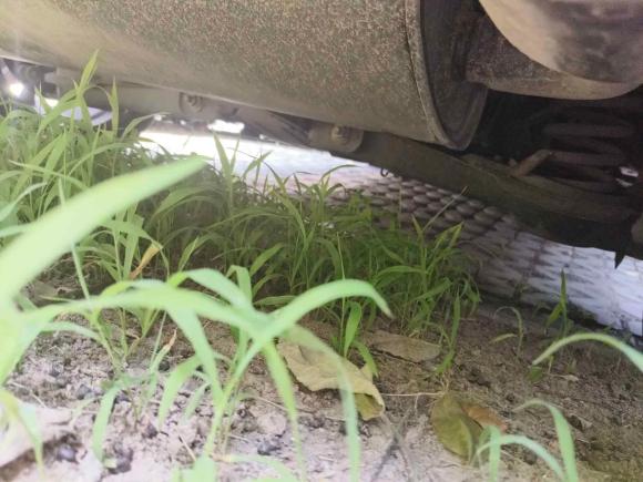 [南京·苏A] 二手林肯林肯MKC2017款 2.0T 两驱尊雅版