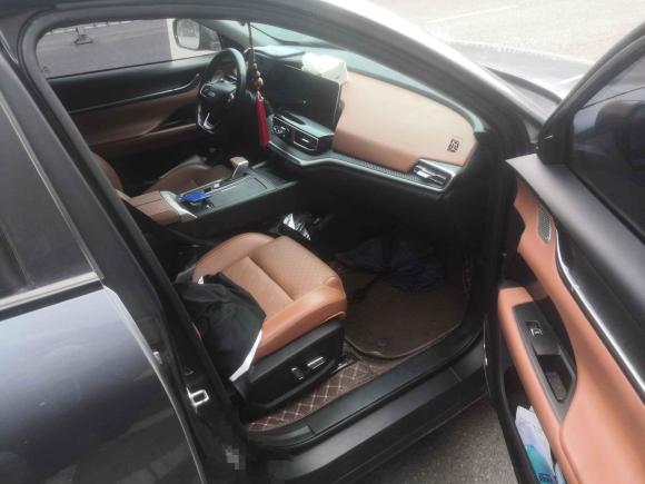 [芜湖·皖B] 二手奇瑞新能源大蚂蚁2020款 高能pro版