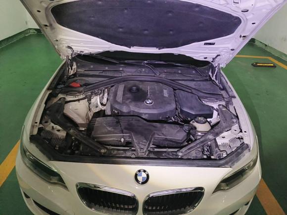 [苏州·苏U] 二手宝马宝马2系2015款 218i 敞篷轿跑车