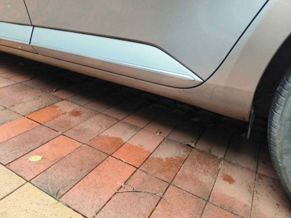 [杭州·浙A] 二手斯柯达速派2016款 TSI280 DSG创行版