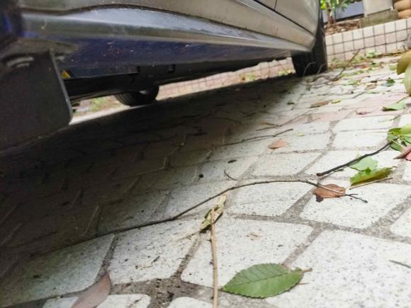 [上海·沪B] 二手捷豹捷豹XEL2020款 2.0T 200PS R-DYNAMIC S进取运动版