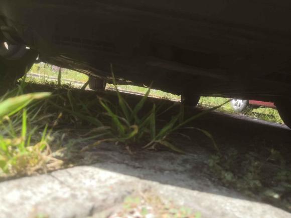 [湖州·鲁Q] 二手本田杰德2013款 1.8L 自动舒适版 5座