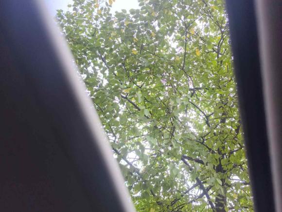 [杭州·黑A] 二手雪铁龙雪铁龙C4L2014款 1.8L 智驱版 自动劲智型