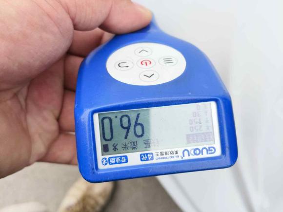 [北京·鲁A] 二手奔驰奔驰C级2022款 改款 C 260 L 运动版