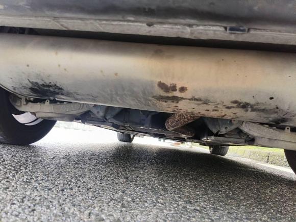 [合肥·皖A] 二手福特蒙迪欧2017款 EcoBoost 180 时尚型