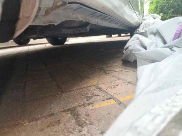 [佛山·粤E] 二手丰田雷凌2018款 185T CVT豪华版