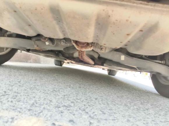 [苏州·苏U] 二手马自达马自达3 昂克赛拉2017款 三厢 1.5L 自动豪华型 国VI