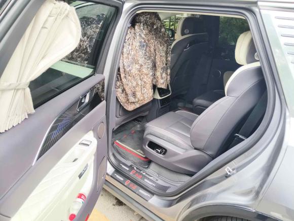 [上海·沪A] 二手红旗红旗E-HS92021款 510km 旗畅版 六座