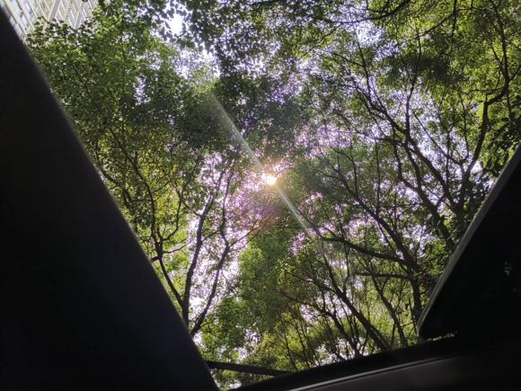 [上海·苏E] 二手宝马宝马X12019款 xDrive20Li 尊享型