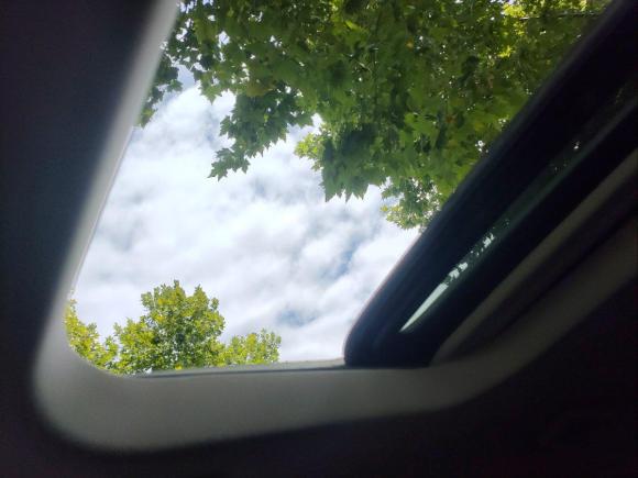 [上海·浙A] 二手福特福睿斯2017款 幸福版 1.5L 自动时尚型