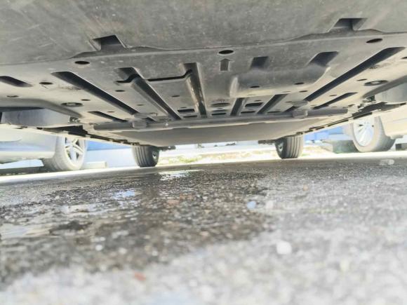 [深圳·粤B] 二手比亚迪海豚2021款 405km 自由版