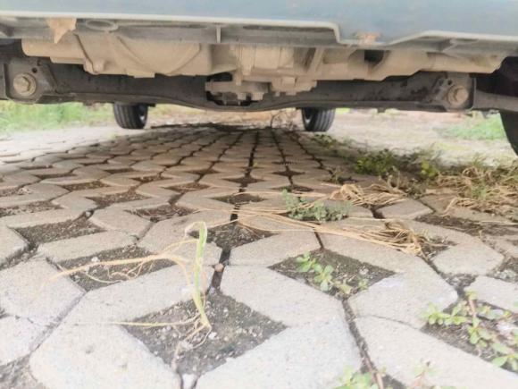 [南京·苏A] 二手欧拉欧拉黑猫2021款 351km 标准型