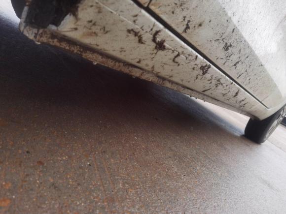 [金华·浙G] 二手欧拉欧拉黑猫2019款 351km 灵趣版