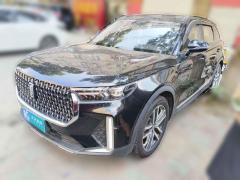 [温州·浙C] 奔腾奔腾T992020款 20TD 自动豪华型