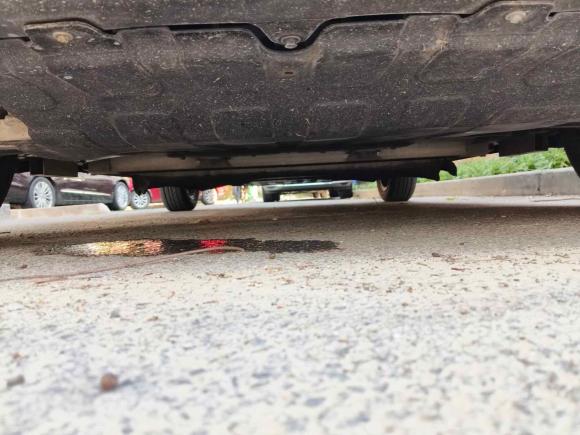 [上海·沪A] 二手奇瑞新能源小蚂蚁2019款 4座智享版 35kWh