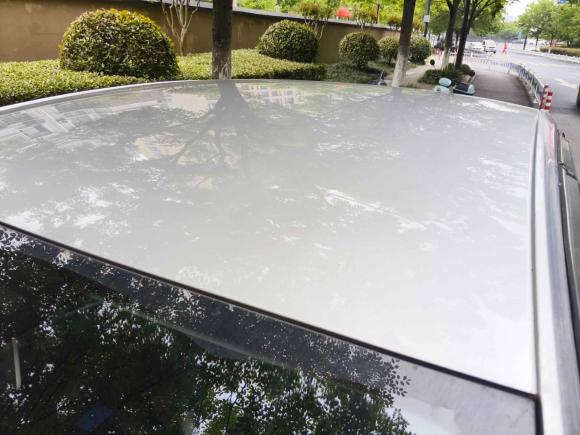 [杭州·浙A] 二手大众朗逸纯电2019款 优享版