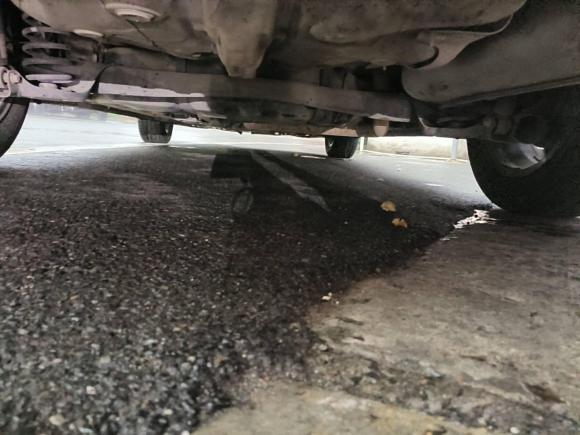 [嘉兴·浙F] 二手长安逸动2020款 PLUS 蓝鲸NE 1.4T GDI DCT尊贵型