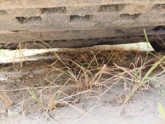 [南昌·赣A] 二手奥迪奥迪A12014款 30 TFSI 时尚型