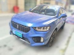 [温州·浙C] 魏牌魏牌 VV52019款 升级款 2.0T 两驱旗舰型 国V