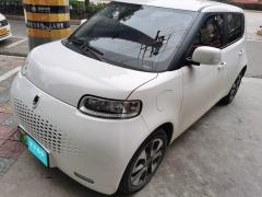 [温州·浙C]欧拉&nbsp;&nbsp;欧拉白猫&nbsp;&nbsp;2020款305km豪华型