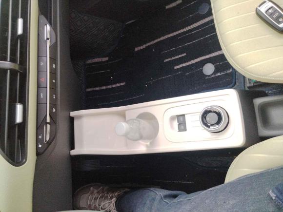 [杭州·浙A] 二手吉利汽车熊猫2023款 熊猫mini 200km 灵动熊