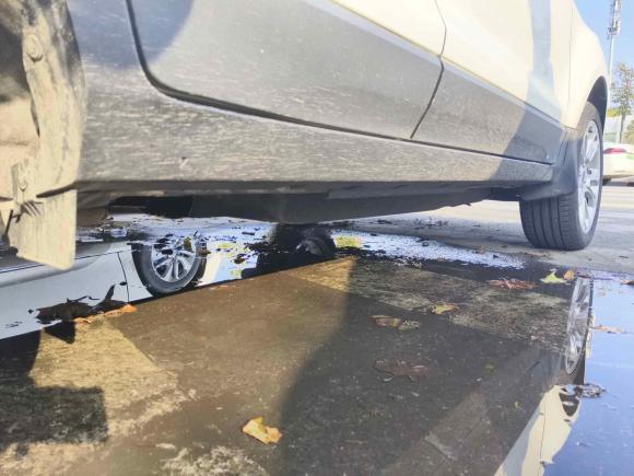 [青岛·鲁B] 二手福特翼搏2018款 改款 1.5L 自动铂翼型