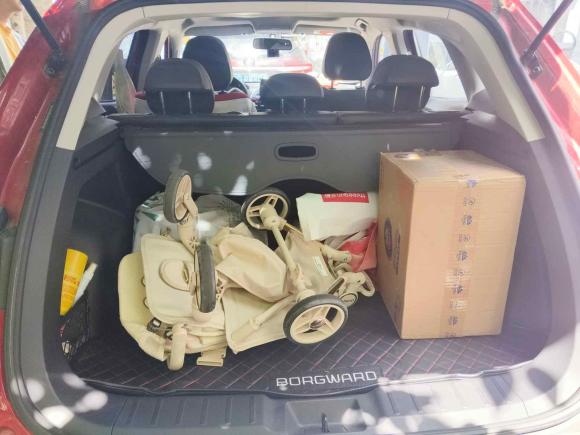 [上海·沪A] 二手宝沃宝沃BX52017款 20TGDI 自动两驱先锋型