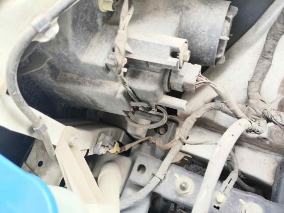 [温州·浙C] 二手欧拉欧拉黑猫2019款 351km 亲子版