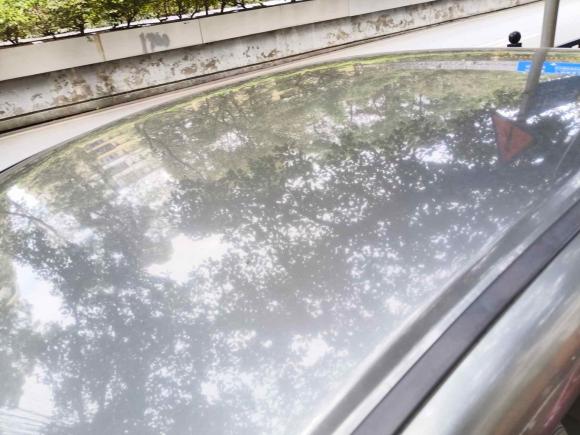 [广州·粤A] 二手思铭思铭2012款 1.8L 自动