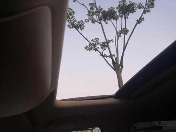 [上海·浙A] 二手大众途安2011款 1.4T DSG智雅版5座