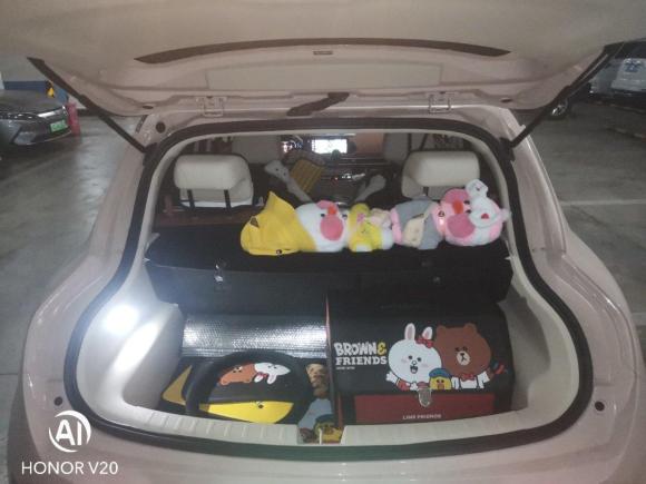 [北京·京A] 二手欧拉欧拉好猫2021款 500km长续航 波塞冬版 三元锂