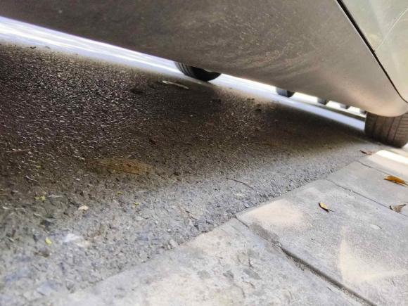 [西安·陕A] 二手特斯拉Model Y2021款 标准续航后驱版