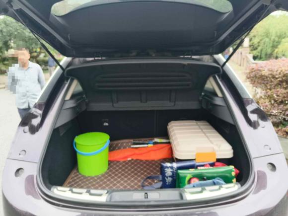 [上海·沪J] 二手DSDS 62016款 1.6T 豪华版THP160