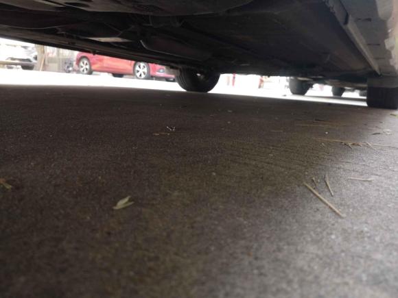 [佛山·粤Y] 二手启辰启辰M50V2017款 1.6L XV CVT尊享版