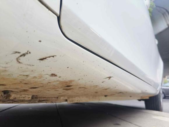 [武汉·陕U] 二手吉利汽车帝豪2021款 UP 1.5L CVT舒适型