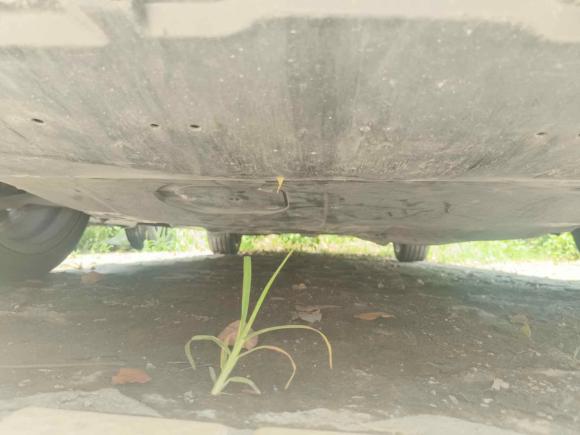 [上海·沪B] 二手马自达阿特兹2015款 2.5L 蓝天运动版