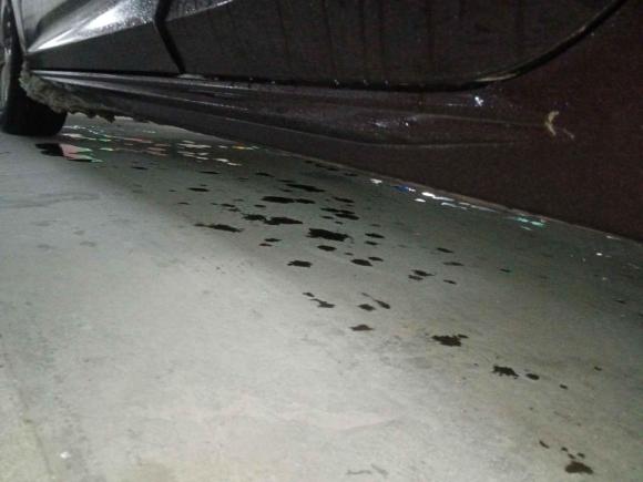 [南京·苏A] 二手长安睿骋CC2018款 1.5T 自动典雅型 国V