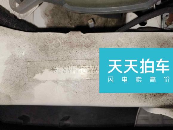 [宁波·浙B] 二手大众Polo2019款 Plus 1.5L 自动炫彩科技版