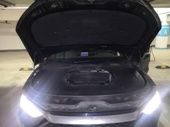 [上海·沪A] 二手比亚迪汉2020款 DM 四驱性能版豪华型