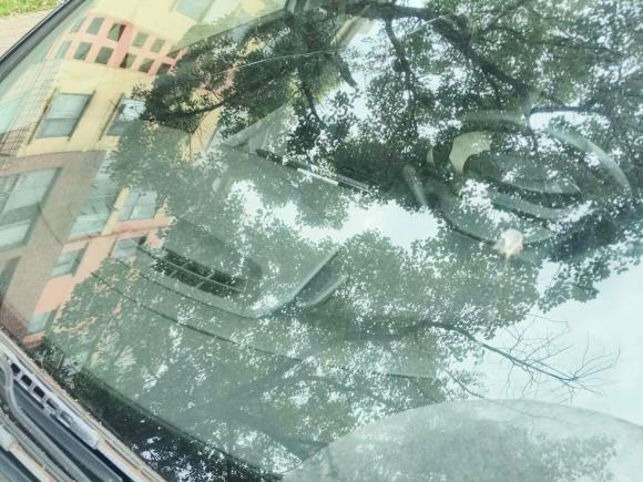 [南昌·赣A] 二手雪铁龙世嘉2013款 三厢 1.6L 自动品尚型