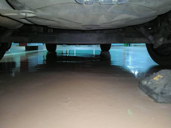 [合肥·皖A] 二手雷诺风朗2015款 2.0L 时尚版