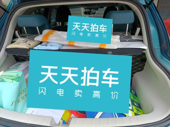 [济南·鲁A] 二手欧拉欧拉好猫2021款 400km标准续航 雅典娜版 磷酸铁锂