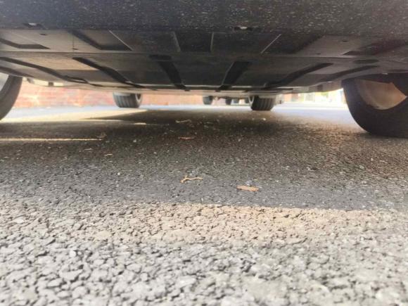 [上海·沪A] 二手Polestar极星Polestar 22020款 长续航双电机版