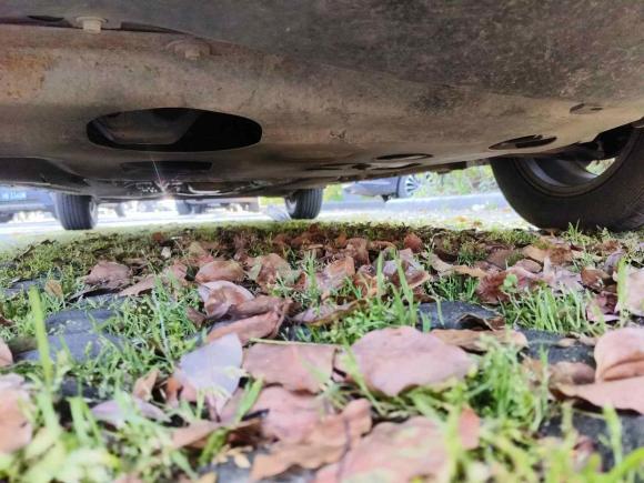 [宁波·沪C] 二手日产骊威2010款 劲锐版 1.6L 自动智能高配型