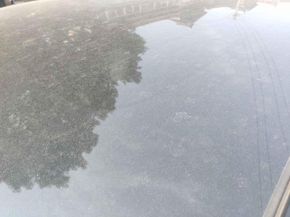 [常州·苏D] 二手ARCFOX极狐极狐 阿尔法S(ARCFOX αS)2023款 525E 森林版 175kW