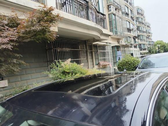 [上海·粤Y] 二手奥迪奥迪A6L2014款 35 FSI quattro 豪华型