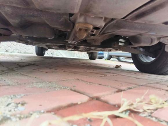 [青岛·鲁B] 二手丰田花冠2013款 1.6L 手动豪华版