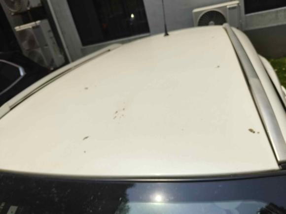 [湖州·皖D] 二手日产逍客2016款 2.0L CVT精英版