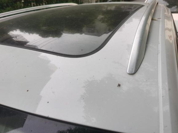 [嘉兴·浙F] 二手大众T-ROC探歌2019款 230TSI DSG两驱进取型 国VI