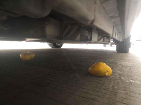 [义乌·浙G] 二手比亚迪比亚迪e52018款 出行版